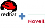 Ret-Hat Company busca ¿comprar a Novell?