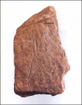 La homosexualidad era habitual en el paleolítico según una exposición de Atapuerca