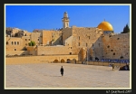 Dedicación Del Templo  De Jerusalén Tierra Santa Parte 4