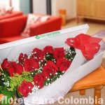 Tradición de las floristerias en Medellin