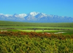 Turismo en Mendoza: el valle de Uco