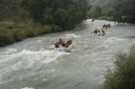 Rafting, deporte aventura en el río Atuel