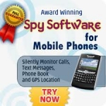 Por qué se necesita un software celular espía