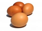 Acerca de los huevos para la salud y quemar grasa