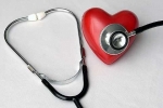 Descubren un potencial estado cardioprotector en el corazón 