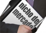 ¿Cómo ganar dinero con Micro Nichos?