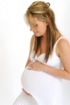 La Taurina durante el Embarazo y la Lactancia