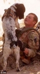 Un soldado muerto, cuya perra murió de tristeza