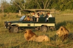 ¿Cuál es la ropa adecuada para llevarme a un Safari en Sudáfrica?