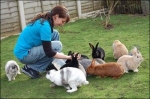 Oportunidad de negocio criando conejos
