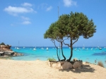 Formentera: Relax y gafas de sol