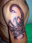 Tatuajes de escorpiones 