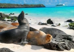  Turismo en Galápagos