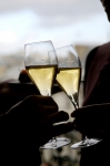 Cava o champagne: similitudes y diferencias
