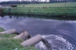 Evitemos la contaminación del agua