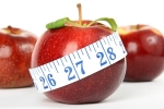 Alimentos y Dietas Para Perder 5 Kilos Rápidamente