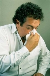Enfermedad de primavera, rinitis alérgica 