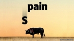 S- pain