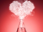 El amor es un producto quimico.