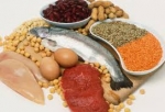Las proteinas y su papel en la alimentacion bio-compatible