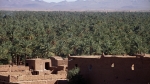 Visita el sur de Marruecos, de Marrakech al Valle del Draa