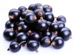 Las bayas de Acai – el mejor antioxidante natural