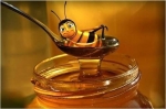 La gracia de las abejas para la supervivencia de los individuos