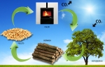 Biomasa: Fuente de Energía Inagotable