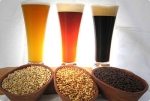 Levadura de la cerveza: propiedades, historia y consejos de uso