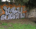 ¿Qué se necesita para eliminar graffitis en diferentes superficies?