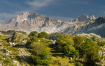 Todo lo que necesitas saber para hacer un trekking en Picos de Europa
