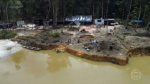  Crisis Ambiental en la Amazonía: Altos Niveles de Contaminación por Mercurio Amenazan a los Indígenas Yanomami